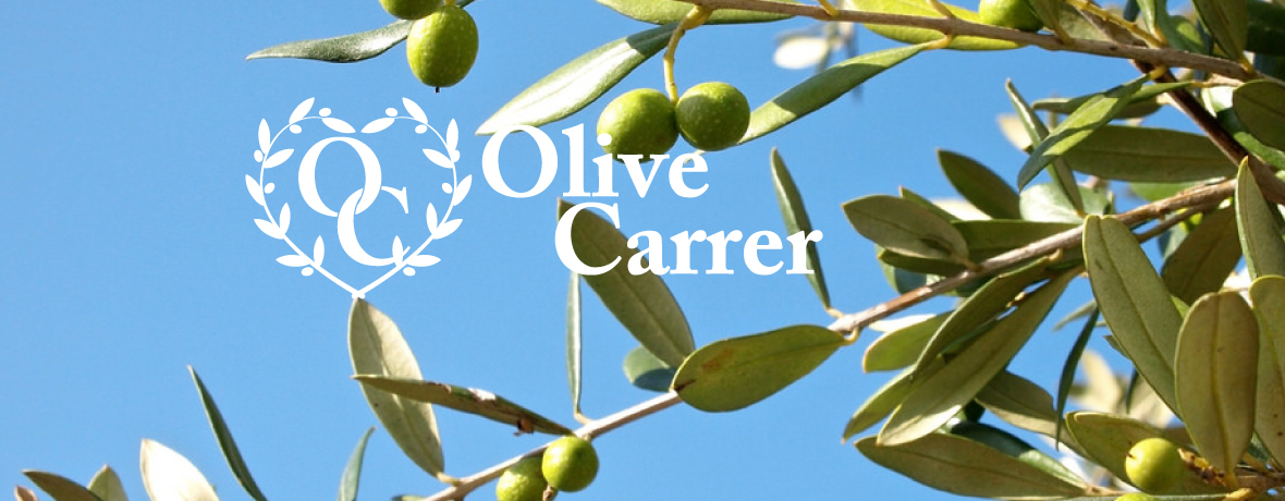 仁平幸子　オリーブキャリア